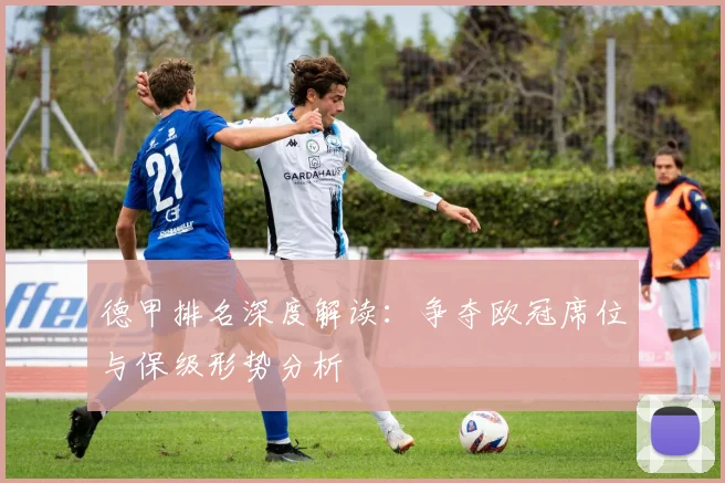 德甲排名深度解读：争夺欧冠席位与保级形势分析