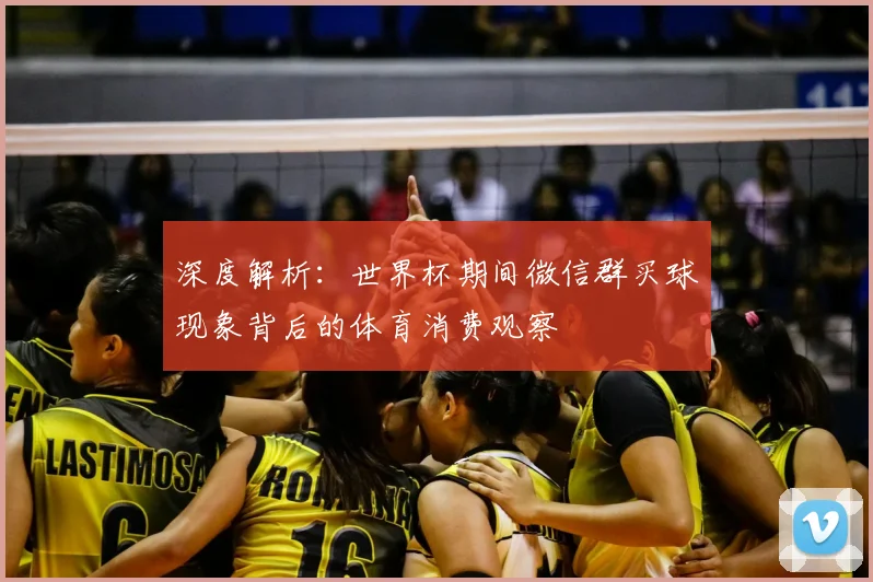 深度解析：世界杯期间微信群买球现象背后的体育消费观察
