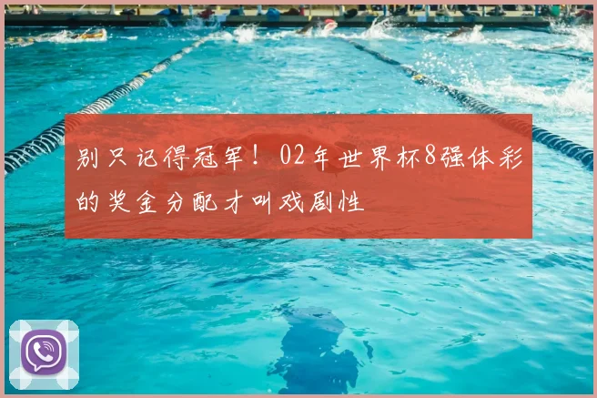 别只记得冠军！02年世界杯8强体彩的奖金分配才叫戏剧性