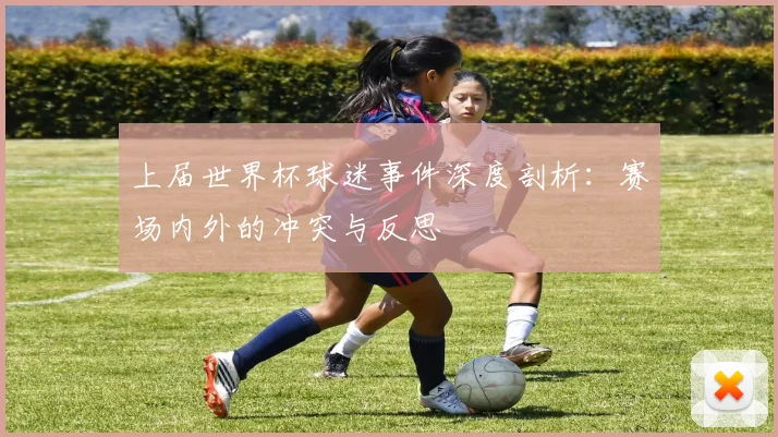 上届世界杯球迷事件深度剖析:赛场内外的冲突与反思