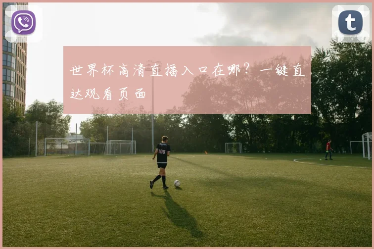 世界杯高清直播入口在哪？一键直达观看页面