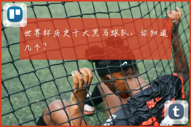 世界杯历史十大黑马球队，你知道几个？