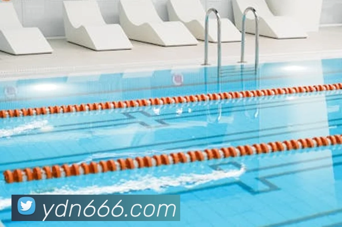 乐竞平台生态图